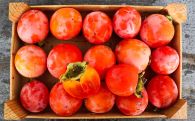 Fruits in Spain: Your Ultimate Seasonal Guide