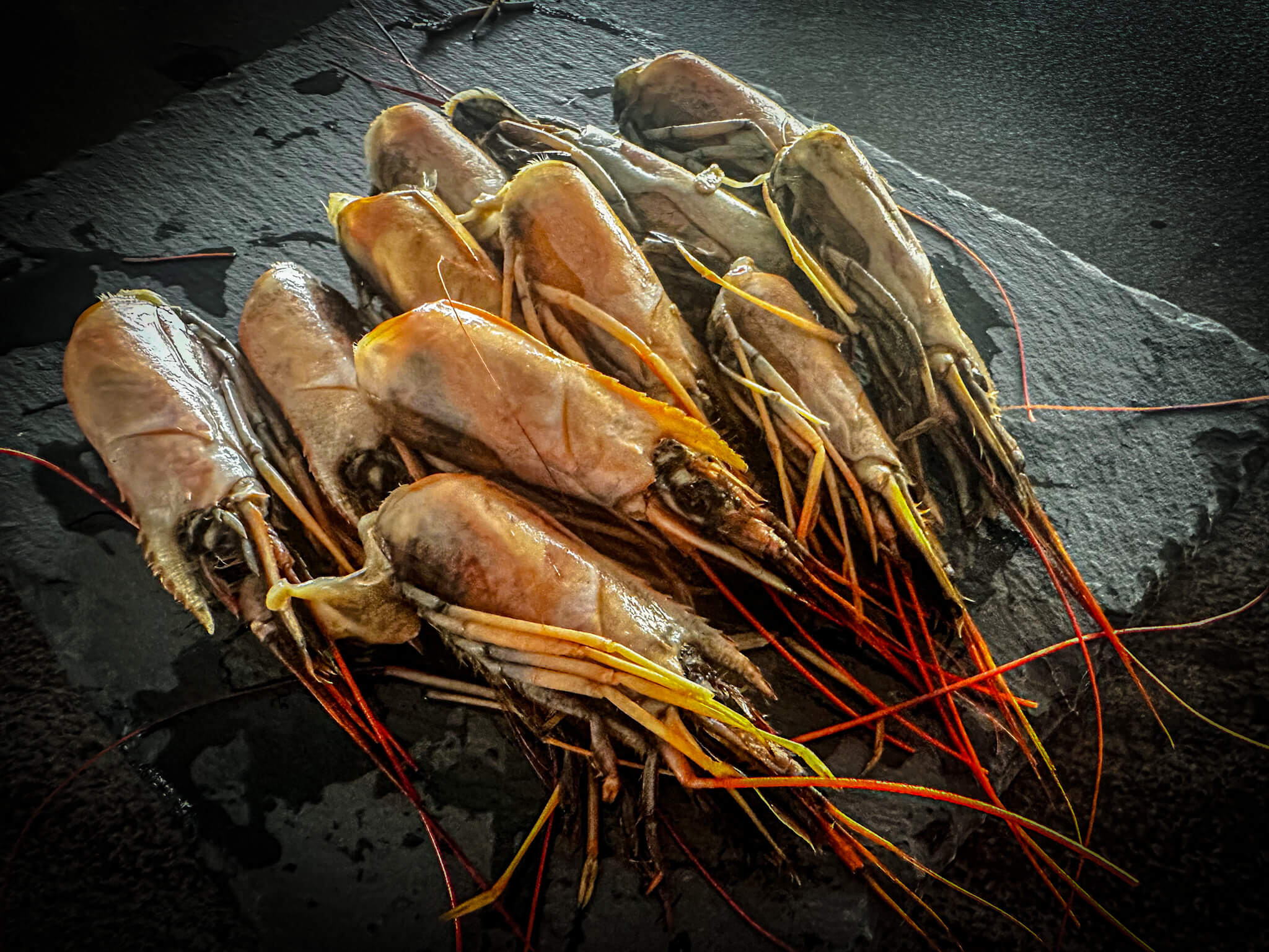 Gambas al ajillo ingredients clean shrimps heads