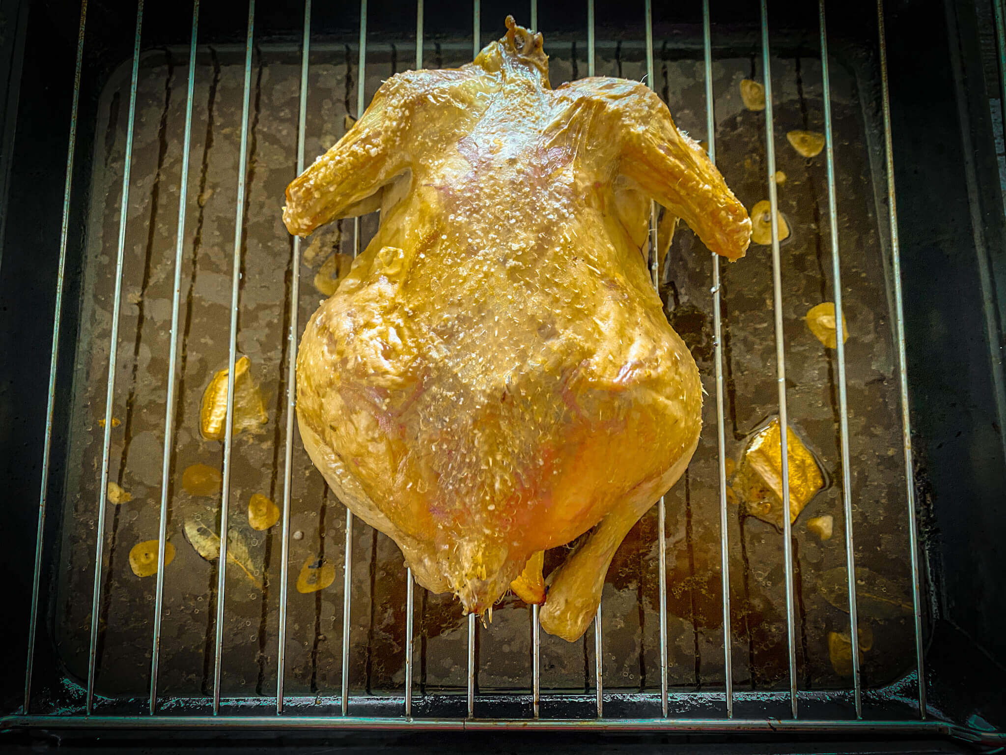 Pollo al ast oven 1