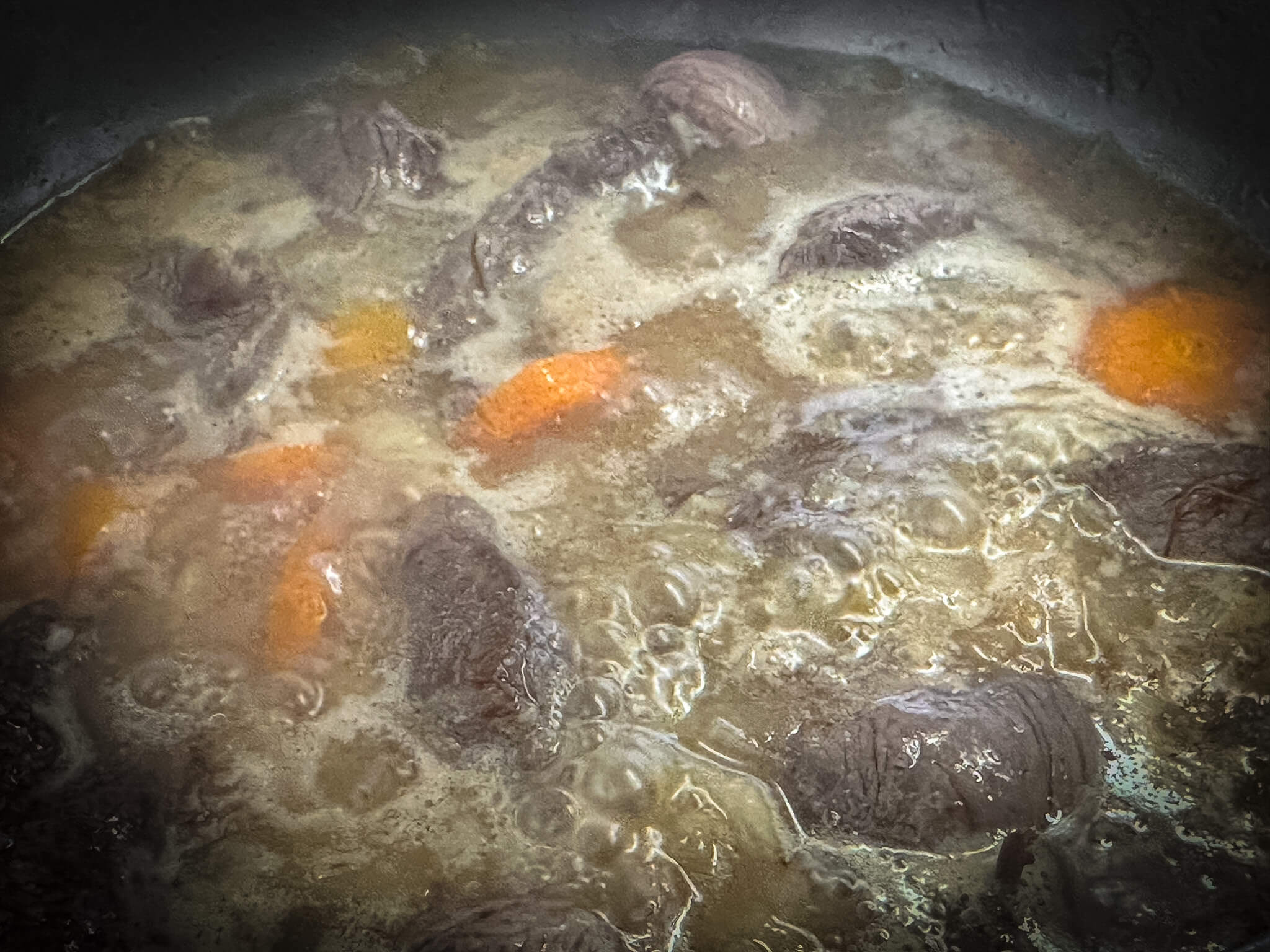 Spanish Beef Stew with Potatoes add water