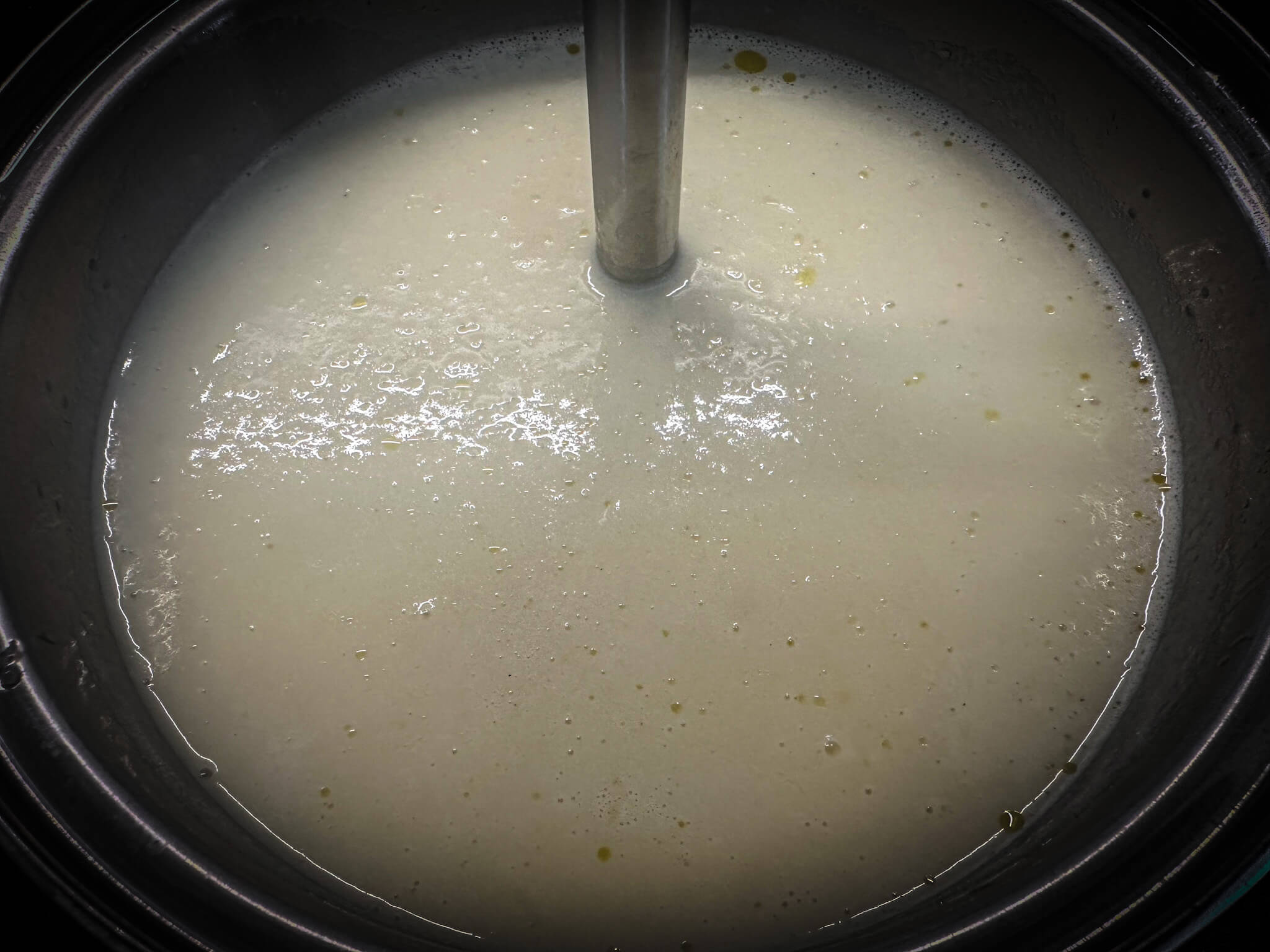 Classic French Vichyssoise blended