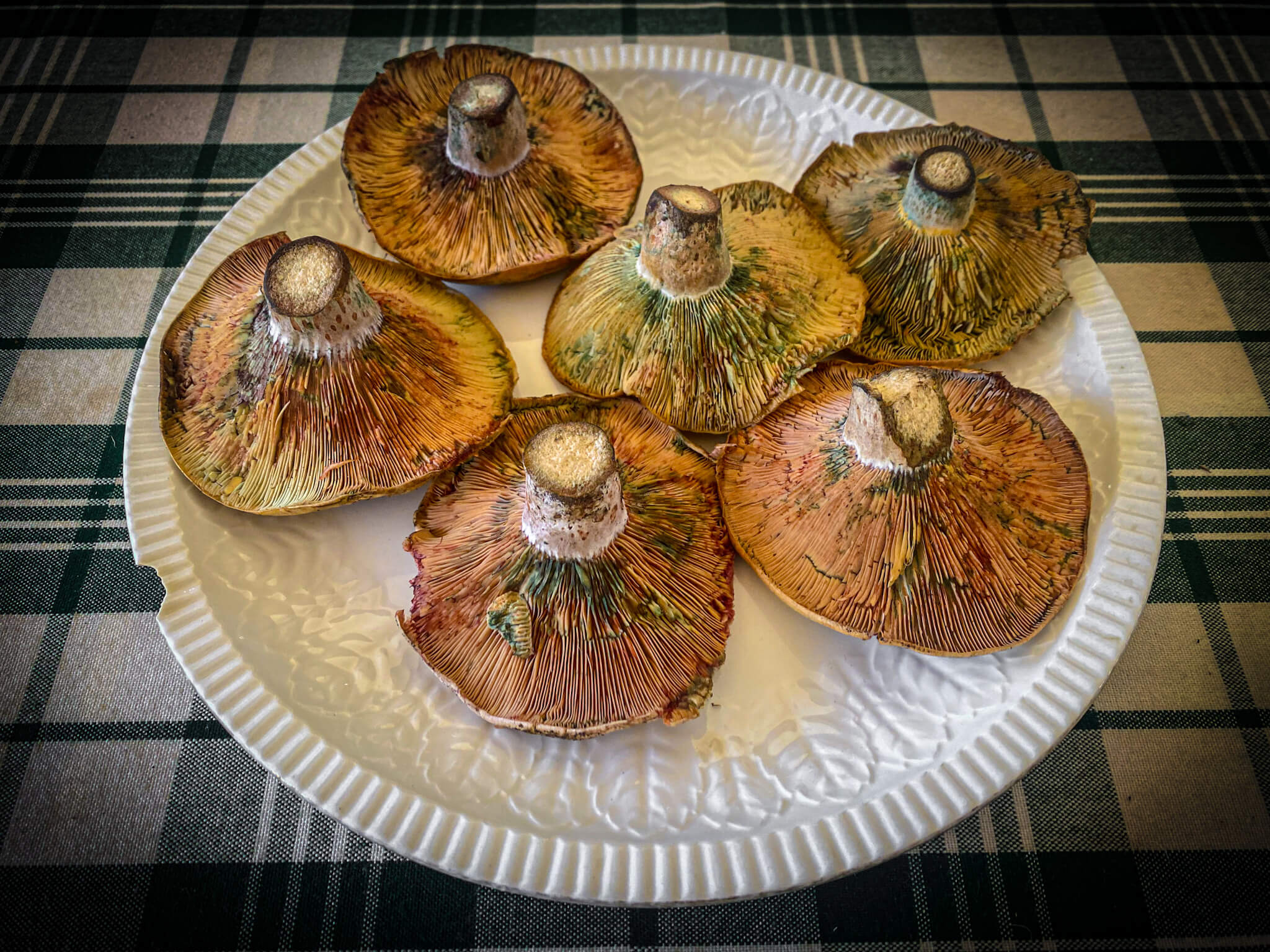 Niscalos Mushrooms