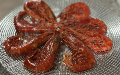 The Ultimate Guide to Spanish Fish & Seafood Recipes: Coastal Traditions & Classic Recipes
